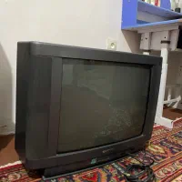 تلویزیون