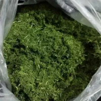 سبزیجات خشک رامهرمز