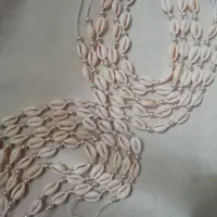 انواع بدلیجات