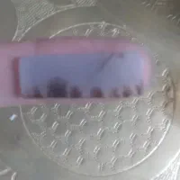 نگین شجر قاینات