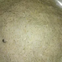فروش برنج طارم هاشمی پارساله