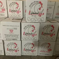 تخم مرغ|عمده‌فروشی|کرج, فاز ۳ گوهردشت|دیوار
