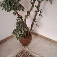 درختچه مصنوعی
