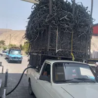 نوار قطره و لوله نخی