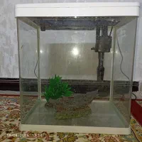 اکواریوم شرکتی در حد نو
