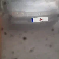 خودروپژو۴۰۵