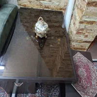 میز جلو مبلی