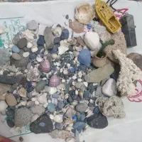 آکواریوم ماهی دیواری