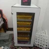 دستگاه جوجه کشی تمام اتوماتیک