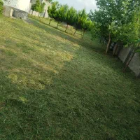 چمن زنی ،هرس درختان،زیبا سازی ویلاها و منازل