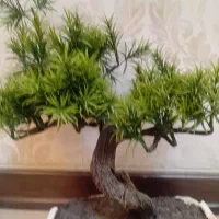 درختچه مصنوعی ژاپنی