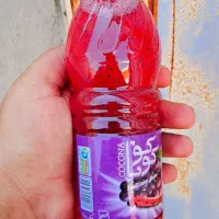 ابمیوه حاوی بذر ریحان در ۹ طعم ۵۰۰سی سی