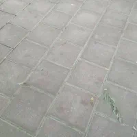جویای کار
