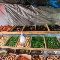 قفسه دو طبقه‌مخصوص میوه تره بار