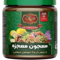 معجون معجزه 500 گرمی