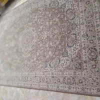 فرش شیش متری فروش فوری