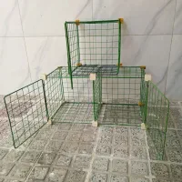 جفت کن کبوتر