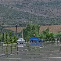 استخدام نیرو