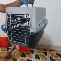 باکس سگ درب دار