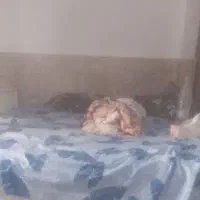نظافت