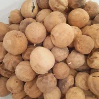 لیمو عمانی کوچک متوسط مصری توپی پوست‌کنده و عطاری