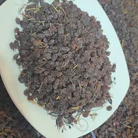 کشمش ارگانیک بدون ذره ای مواد شیمیایی