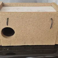 لانه لونه پرنده مرغ عشق و طوطی