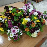 گل طبیعی|گل مصنوعی|مشهد, امیریه|دیوار