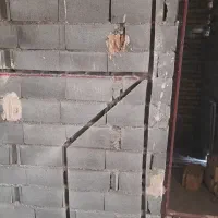 کرگیری پیکور کاری وشیارزنی