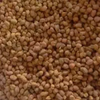 نخود قرمز