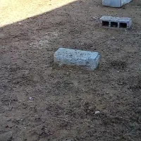 دوبر