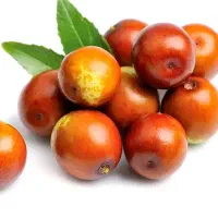 عناب درجه یک باغی