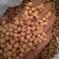 نخود پاییزه بوجاری شده لیزر شده