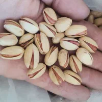 آجیل پزی وآجیل فروشی سید مهدی ایزی