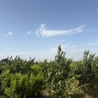 باغچه هزار متری|فروش زمین و ملک کلنگی|تهران, سرو آزاد|دیوار