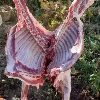 ذبح گوسفند