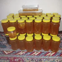 عسل طبیعی کندو