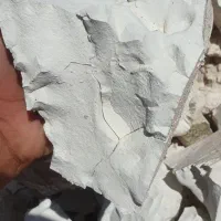 بنتونیت کشاورزی