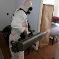 سمپاشی سوسک و ساس مار عقرب رتل سم پاشی موش