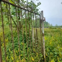 زمین باغی زراعی باسندتک برگ۱۹۰۰مترمربع