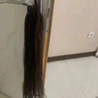 مو دم اسبی
