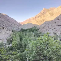 زمین-فروشی-در-فشم