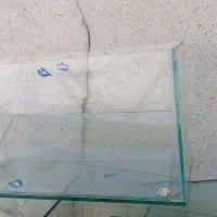 آکواریوم ۲۰۰ تومن مفت سالم