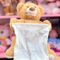 خرس دالی