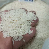 برنج طارم درجه یک