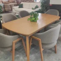 منشی خانم
