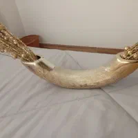 گل و گلدان زینتی
