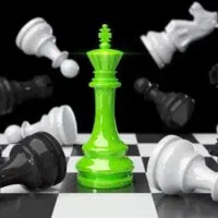 شطرنج حرفه ای