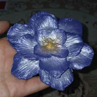 جاعودی،اکسسوری
