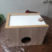 آشیانه پرندگان زینتی